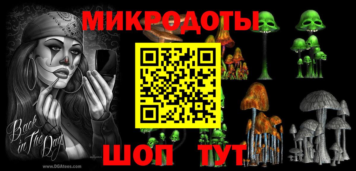 Псилоцибиновые грибы мухоморы Вологда