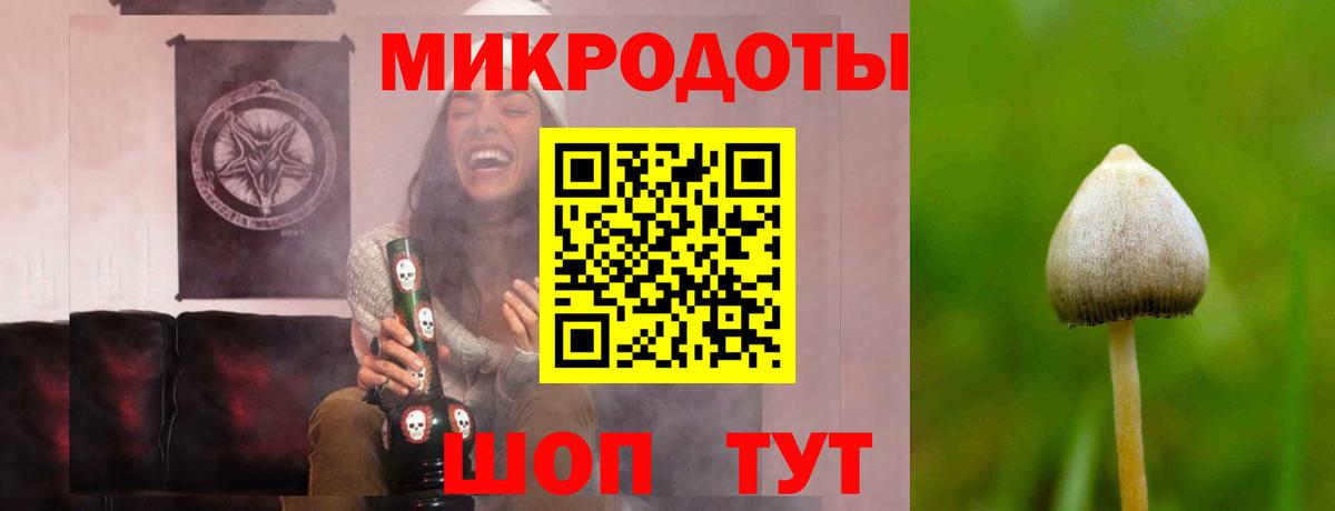 Галлюциногенные грибы GOLDEN TEACHER  Вход с VPN  Вологда 
